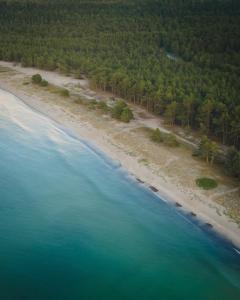 eine Luftansicht auf einen Strand mit Bäumen in der Unterkunft ÖÖD Hötels Lohusalu LEIDA & ENNO in Laulasmaa