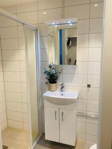 y baño con lavabo y espejo. en Moderne leilighet i sentrum av Sandefjord, en Sandefjord