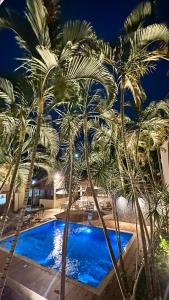um grupo de palmeiras junto a uma piscina em Pousada Estalagem dos Corais da Prainha em Arraial do Cabo