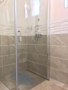 ハイドゥソボスローにあるMimi Apartmanのバスルーム(ガラスドア付きのシャワー付)