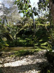 a path in a garden with rocks and trees at El bosque de las hadas II (Cabaña Magic House) in Santa Elena