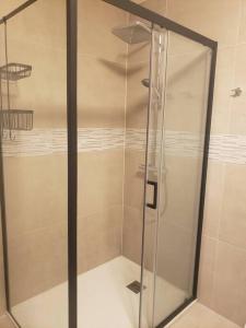 a shower with a glass door in a bathroom at Appartement Cosy Proche du Lac in Annecy