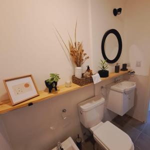 a bathroom with a toilet and a shelf with plants at Alojamientos Cordoba - Cañada in Córdoba +41 photos