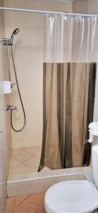 a bathroom with a shower curtain and a toilet at Lisova - Лісова готельня і сауна in Kyiv