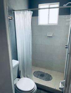 La salle de bains est pourvue d'une douche, de toilettes et d'une fenêtre. dans l'établissement Renta por mes Departamentos en Altamira Tamaulipas, 