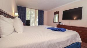 a bedroom with a large white bed with a flat screen tv at Posada de Tampico in Tampico