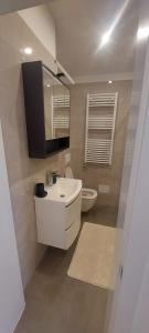ein Badezimmer mit einem Waschbecken, einem WC und einem Spiegel in der Unterkunft Marina in Sesvete