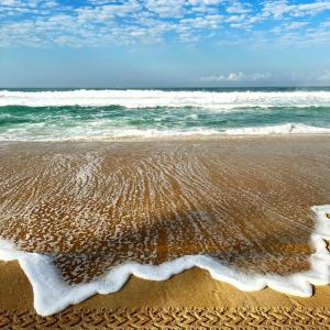 una playa de arena con olas procedentes del océano en Maresias Beach Housing - Mata Azul, en São Sebastião