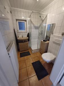 een badkamer met een douche, een wastafel en een toilet bij Ferienwohnung Neli am Rhein in Rheinbrohl