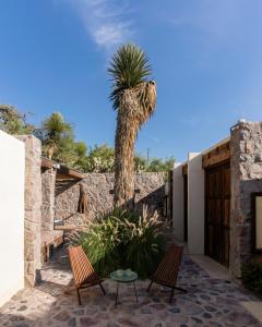 a palm tree in a courtyard with two chairs and a table at Armadillo Mágico in Armadillo