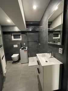Un baño de Penzion Fortuna Žatec