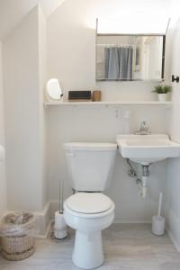 een witte badkamer met een toilet en een wastafel bij Downtown & Campus Wifi W D Netflix 2Br 1Ba in Ames