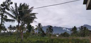 Fotografie z fotogalerie ubytování Sunset Point Kembang Kuning v destinaci Tetebatu