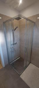 eine Dusche mit Glastür in einem Zimmer in der Unterkunft Marina 2 in Sesvete