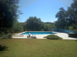 a swimming pool in a yard with two lawn chairs at Estancia en plena naturaleza-Andrea in Sotogrande