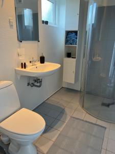 een badkamer met een toilet, een wastafel en een douche bij Bed House By Me in Vester-Skerninge