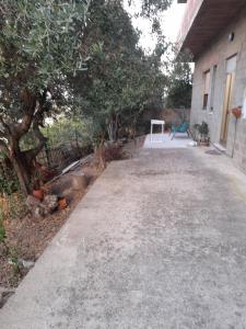 una entrada frente a una casa con un árbol en Casa vacanza bel vedere, en Villamassargia