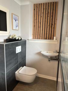 a bathroom with a toilet and a sink at Gîte Familie in Meyenheim