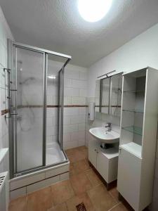 a bathroom with a shower and a sink at Platell Ferienhäuser Harz Wieda in Walkenried