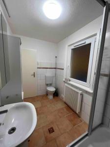 a bathroom with a sink and a toilet at Platell Ferienhäuser Harz Wieda in Walkenried +28 photos