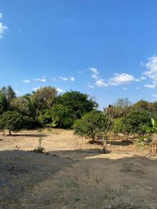 a dirt field with trees and a blue sky at Valle dos ipês in Tianguá