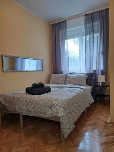 - une chambre avec un lit et une grande fenêtre dans l'établissement Sweet heart apartment Manja, à Novi Sad
