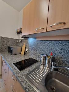 encimera de cocina con fregadero y microondas en Appartement 214 in Bad Goisern, en Bad Goisern