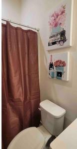 a bathroom with a toilet and a brown shower curtain at Luxurious 3 Story Townhome in Charlotte