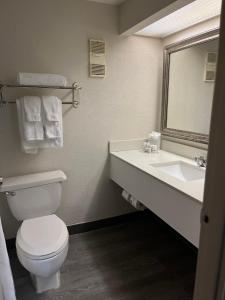 a bathroom with a toilet and a sink and a mirror at 88 Palms Hotel & Event Center in West Palm Beach