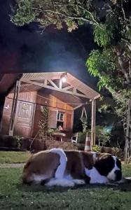 eine Kuh, die im Gras vor einem Haus liegt in der Unterkunft Pousada do Cowboy in Sapucaí-Mirim