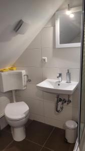 łazienka z toaletą i umywalką w obiekcie Ferienappartement im Waldhaus Göhrde w mieście Nahrendorf