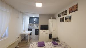 a small apartment with a kitchen and a table at Molders Apartments in Belgrade