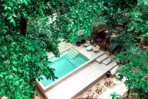 プラヤ・デル・カルメンにあるTerasu Riviera Maya Hotel & Spa, en Xcaretの二本の木の間にあるスイミングプールの上から見渡せる