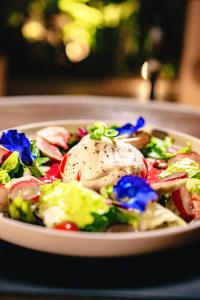 um prato de comida com uma salada na mesa em Terasu Riviera Maya Hotel & Spa, en Xcaret em Playa del Carmen