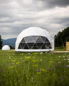 une grande tente blanche dans un champ de fleurs dans l'établissement Glamping Resort, à Dolný Kamenec