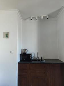 a kitchen with a sink and a microwave on a counter at Madera House in Katowice