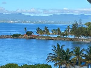 a view of a body of water with palm trees at Au PETIT NONI in Le Gosier