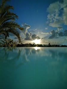 a sunset over a swimming pool with a palm tree at Le Colibri d'isa in Capesterre-Belle-Eau