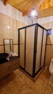 Casa Los Andes في لوس أوديس: حمام مع دش مع حوض ومرحاض