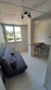 a large living room with a couch and a table at Studio cosy en rez-de-chaussée in Bourbonne-les-Bains