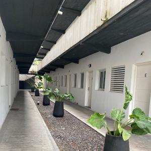 eine Reihe von Topfpflanzen an der Seite eines Gebäudes in der Unterkunft Departamento de dos dormitorios y terraza con asador in Yerba Buena
