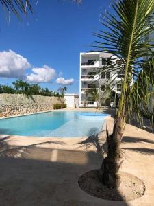 uma palmeira em frente a um edifício com piscina em Sol Caribe 101 Bayahibe con linda piscina! em Bayahibe