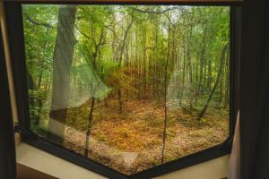 una ventana con vistas a un bosque en Utopia Village - Art & Nature Lodges en Jurbise