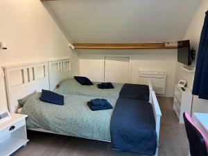a bedroom with two beds with blue pillows at Les Marmottes in Éghezée