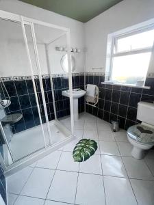 a bathroom with a shower and a plant on the floor at Mountain Widok in Killorglin