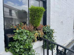 a window box with flowers on a window sill at Spacious 1-bedroom apartment in Belsize Village in London