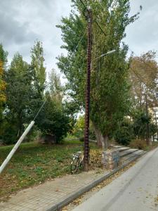 Zahrada ubytování Ergina Green Park