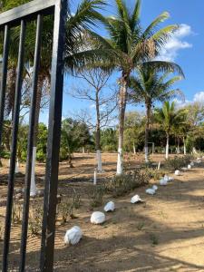 a row of rocks in a field with palm trees at Valle dos ipês in Tianguá