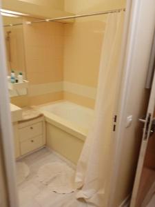 a bathroom with a tub and a sink and a shower at Studio Cosy avec terrasse face au parc des expositions in Vanves