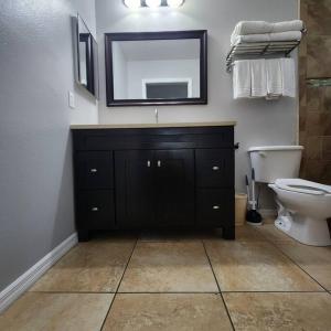 a bathroom with a sink and a toilet and a mirror at 1 bedroom (2 Beds), 1 Bath with Kitchen at IMG in Bradenton